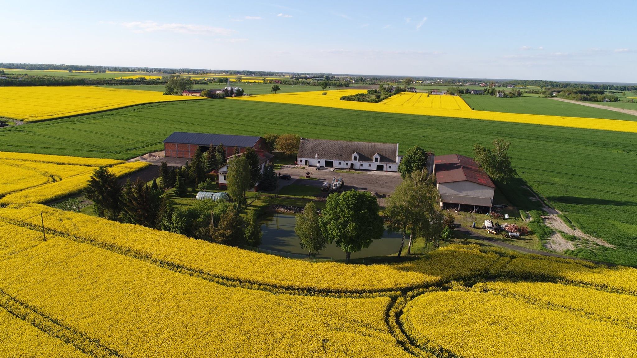 Польша. Сусідка України. Яка вона?