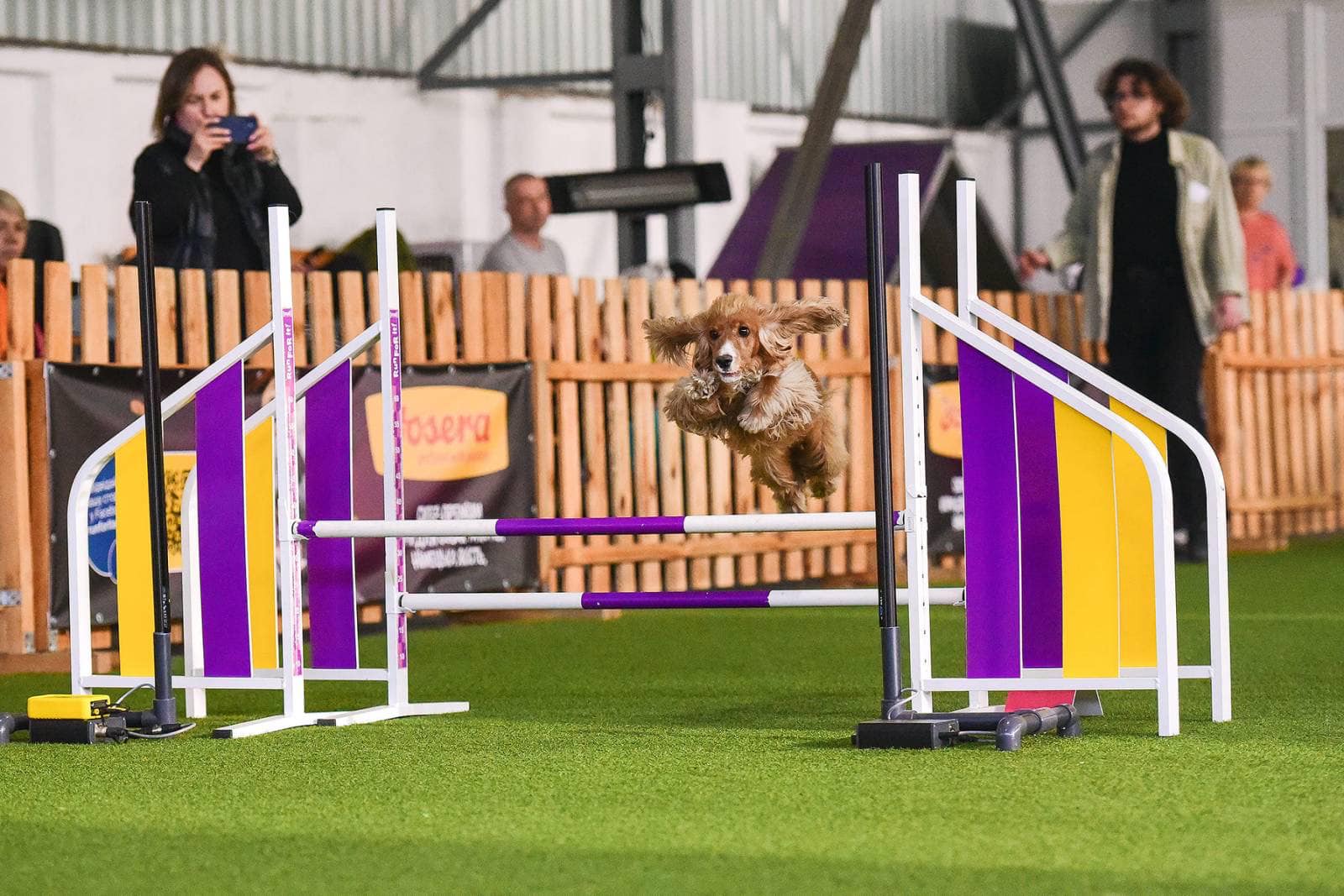 СНАУ – один з організаторів всеукраїнських змагань з аджиліті