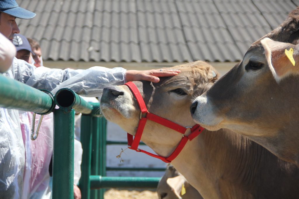 Науково-практичний семінар «Молочне скотарство»