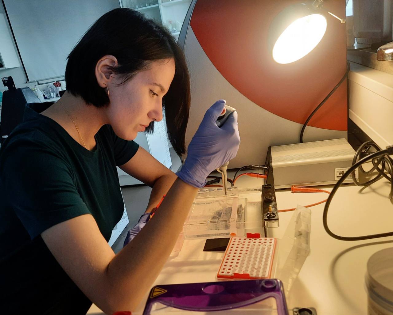 Аспірантки СНАУ пройшли стажування в Португалії