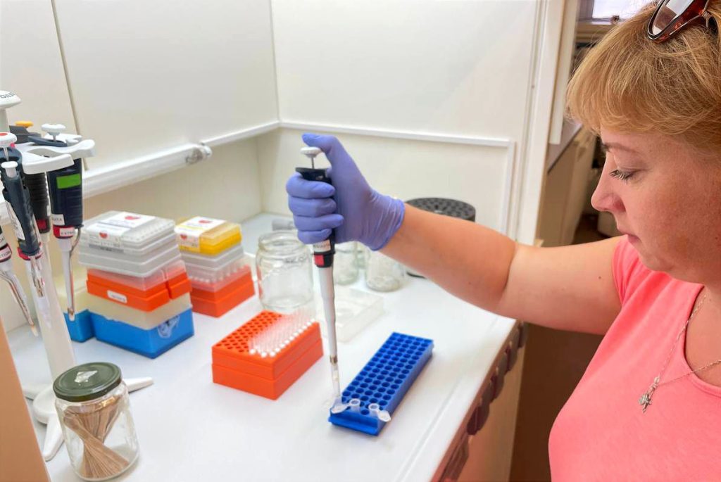 Викладачі Сумського НАУ пройшли навчання в Португалії