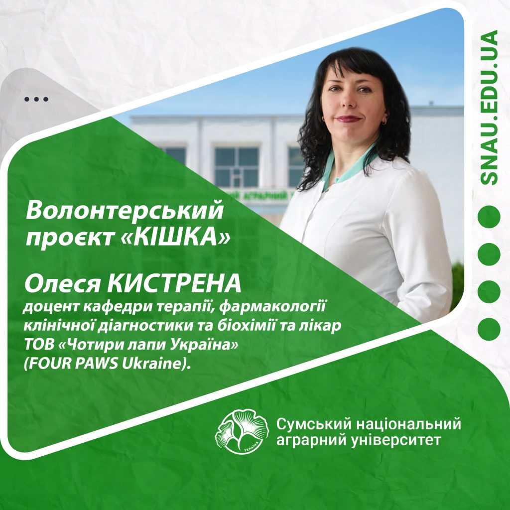 Волонтерський проєкт “Кішка”. Олеся Кистерна.